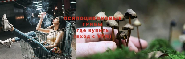 прущий лед Армянск