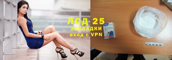 мяу мяу мука Аркадак